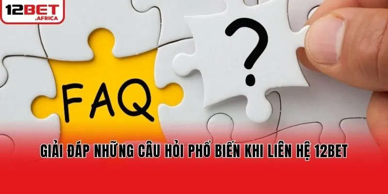 Giải đáp những câu hỏi phổ biến khi liên hệ 12bet