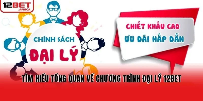 Tìm hiểu tổng quan về chương trình đại lý 12bet